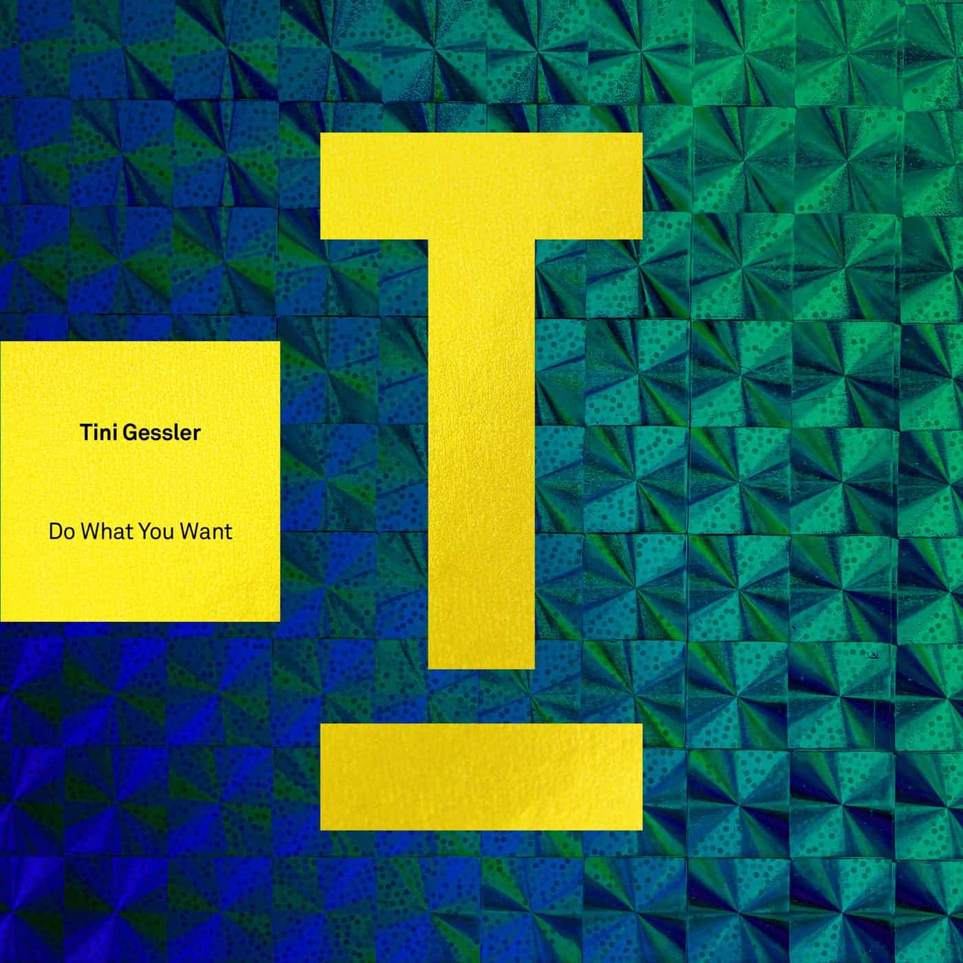 Release Cover: Tini Gessler - Do What You Want on Electrobuzz