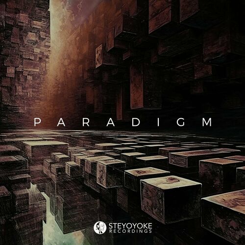 image cover: Various Artists - Steyoyoke Paradigm, Vol. 10 / Steyoyoke