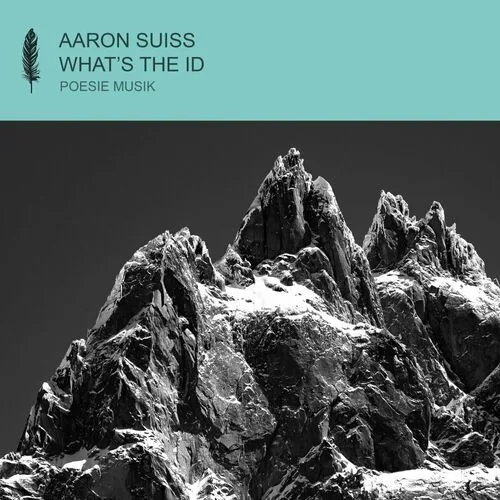 Release Cover: Aaron Suiss - What’s The ID on Electrobuzz