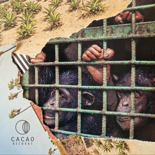 image cover: Ben Gomori - A Certain Vintage / Cacao Records