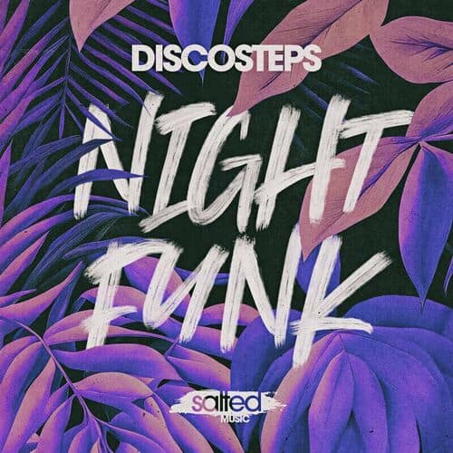 Release Cover: Discosteps - Night Funk on Electrobuzz