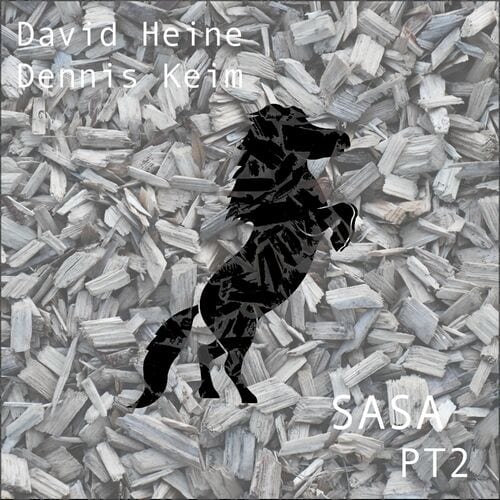Release Cover: Dennis Keim - Sasa, Pt. 2 on Electrobuzz