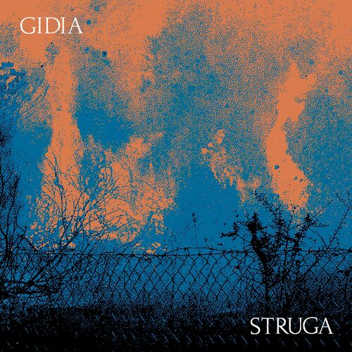 image cover: Gidia - STRUGA / LIES189