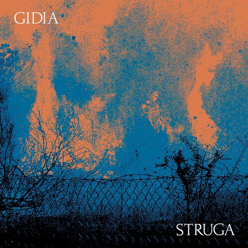 Download STRUGA on Electrobuzz