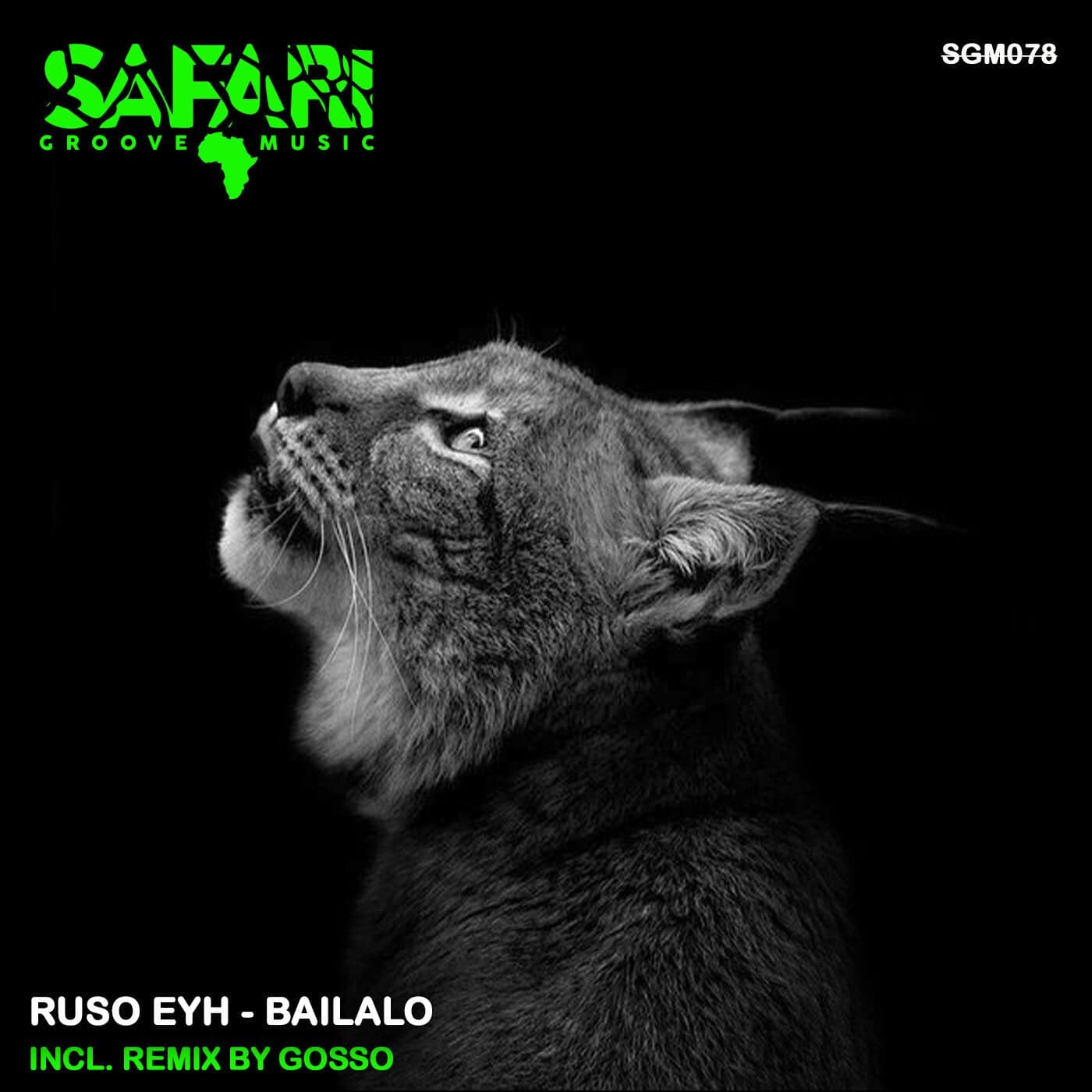 image cover: Bailalo by Ruso Eyh on Safari Groove Music