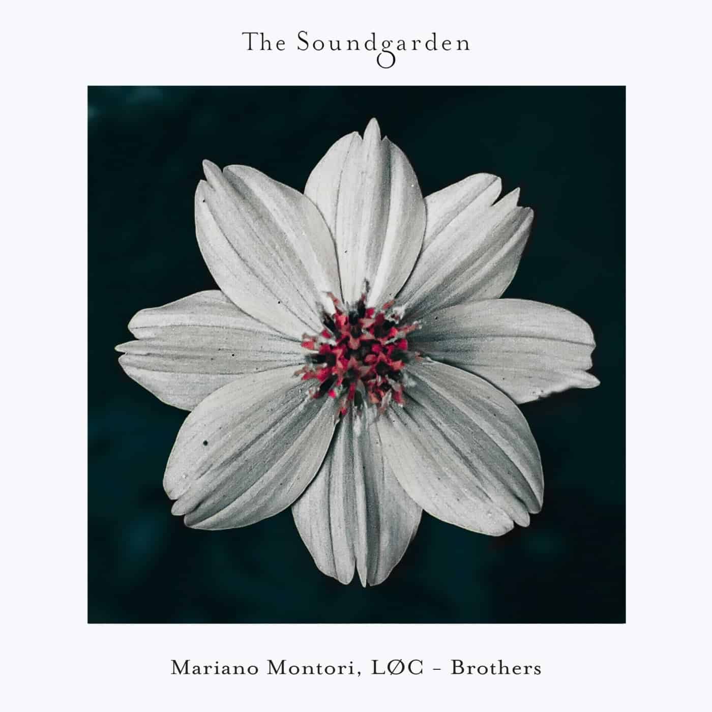 image cover: Brothers by Mariano Montori, LØC on The Soundgarden