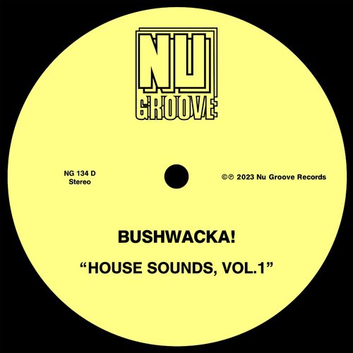 image cover: House Sounds, Vol. 1 by Bushwacka! on Nu Groove Records