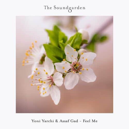 image cover: Feel Me by Yoni Yarchi on The Soundgarden