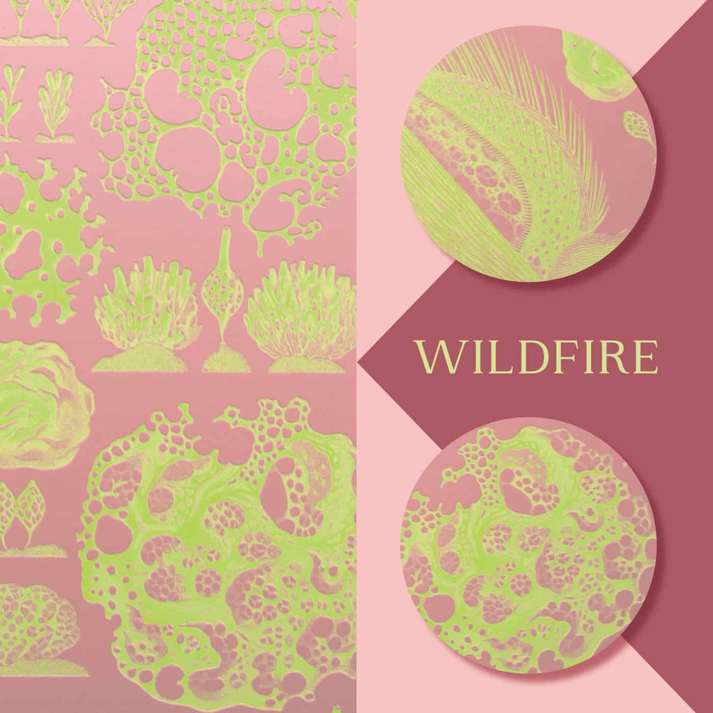 Release Cover: Wildfire Download Free on Electrobuzz