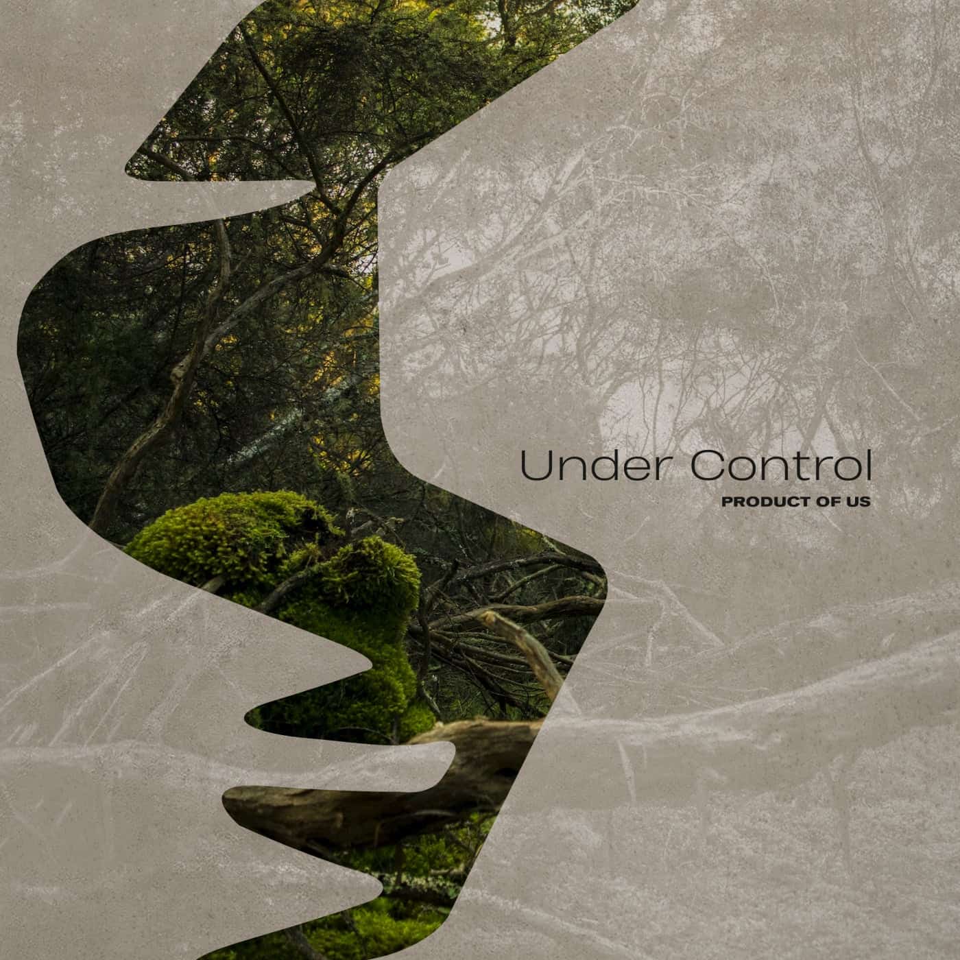 Release Cover: Product Of Us - Under Control on Electrobuzz