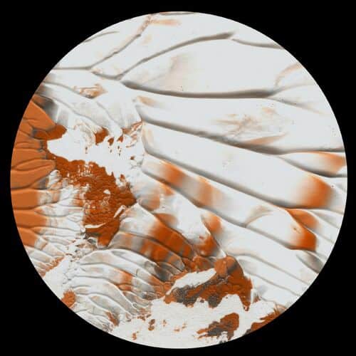 image cover: Root Regenerator 002 EP by Root Regenerator on Tremsix