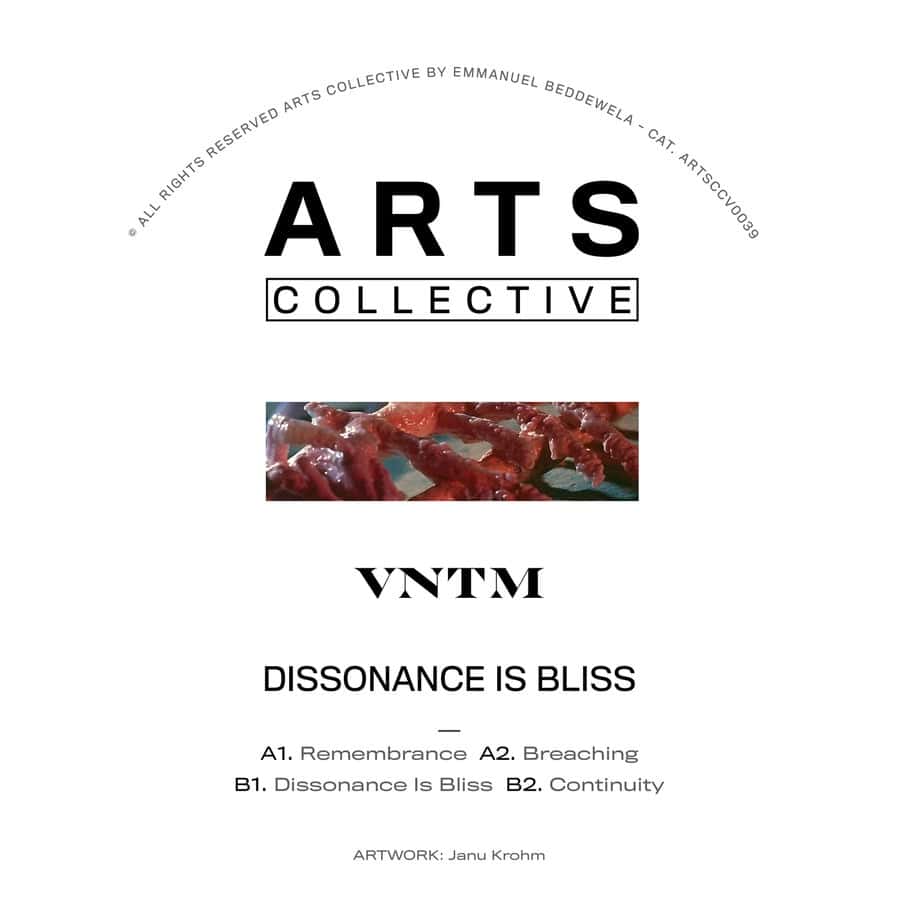 image cover: Dissonance Is Bliss by VNTM on ARTS
