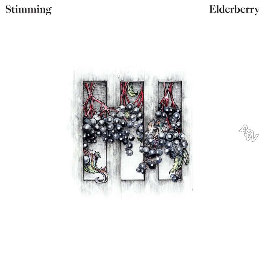 image cover: Elderberry by Stimming on Awesome Soundwave