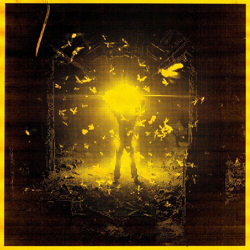 Release Cover: Sheefit - The Moth and the Light on Electrobuzz