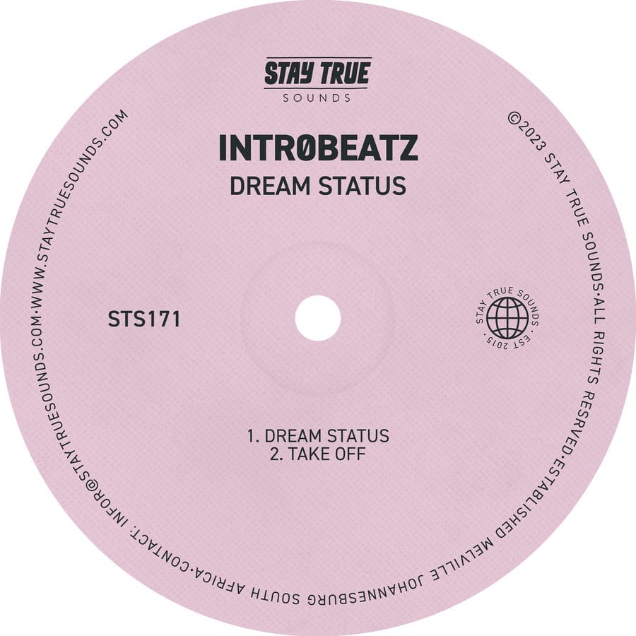 Release Cover: Intr0beatz - Dream Status on Electrobuzz