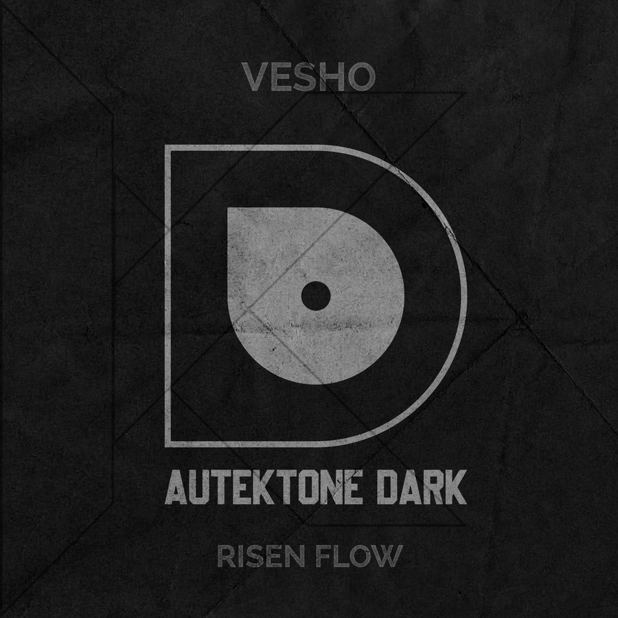 Release Cover: Risen Flow Download Free on Electrobuzz