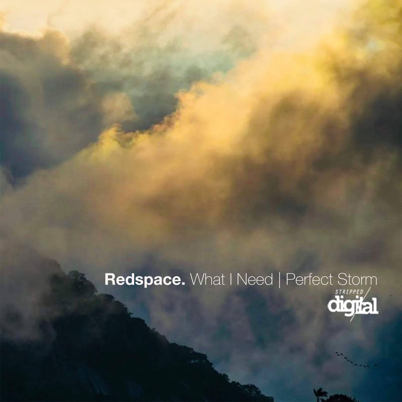 image cover: What I Need | Perfect Storm by Redspace on Stripped Digital