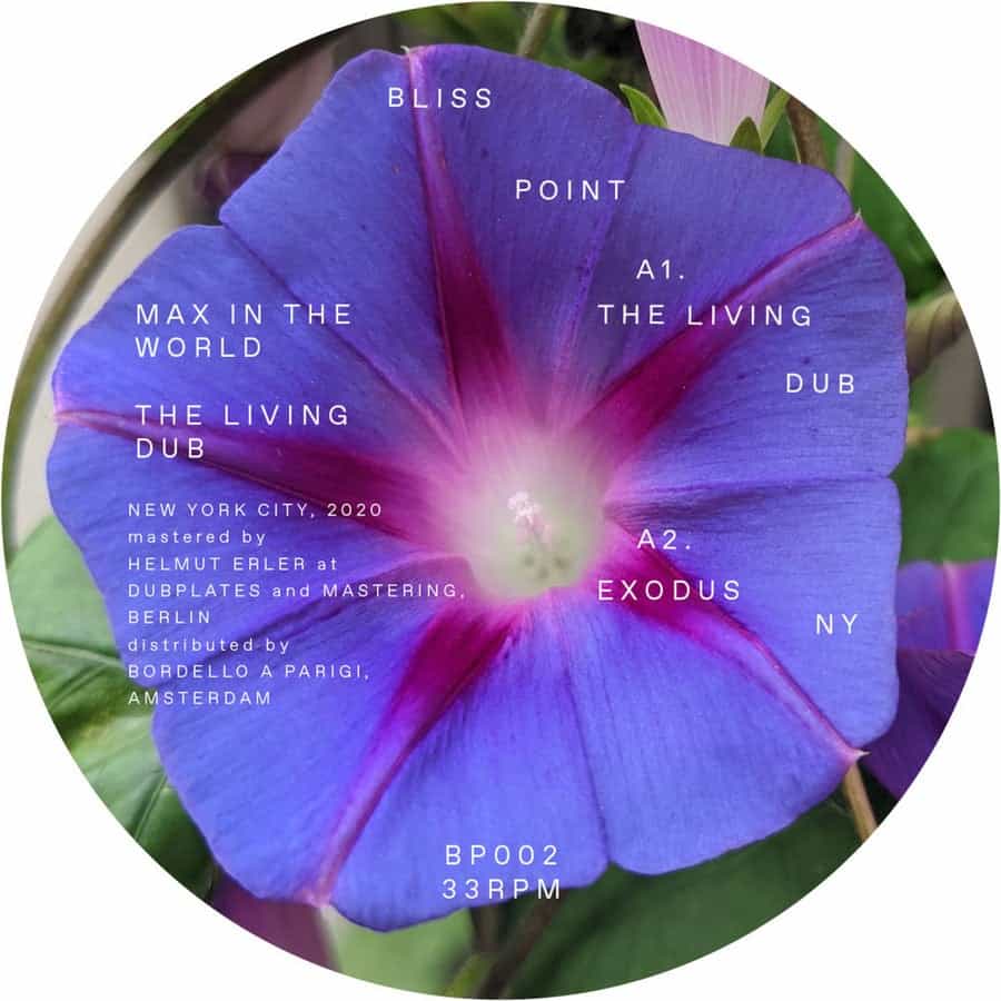 image cover: The Living Dub by Max In The World on Bliss Point