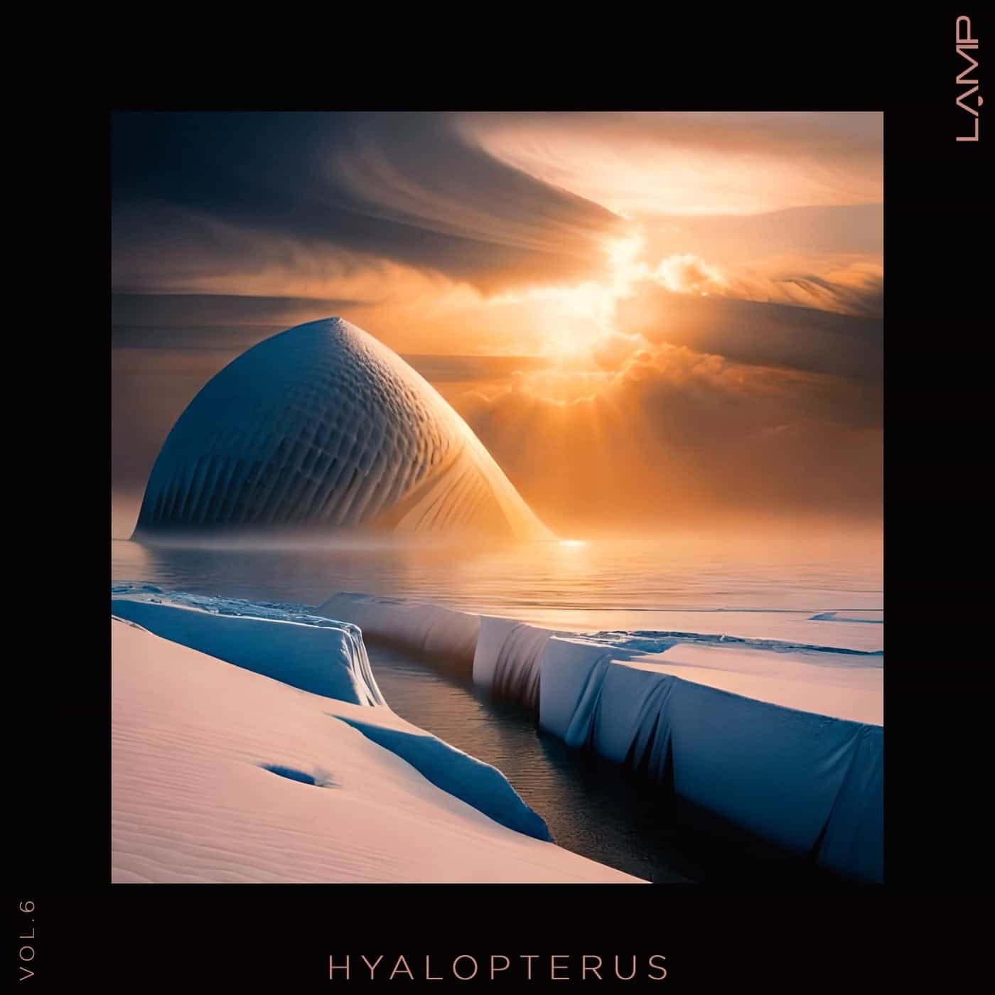 Release Cover: Hyalopterus, Vol. 6 Download Free on Electrobuzz