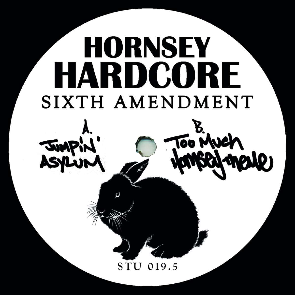 image cover: Hornsey Hardcore - Sixth Amendment on Hornsey Hardcore