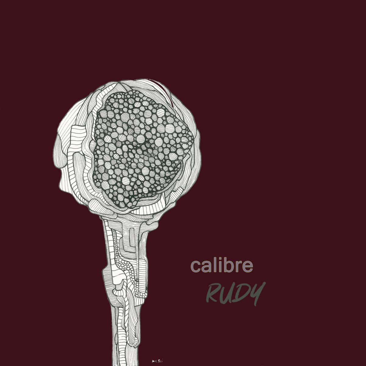 image cover: Calibre - Rudy on Calibre