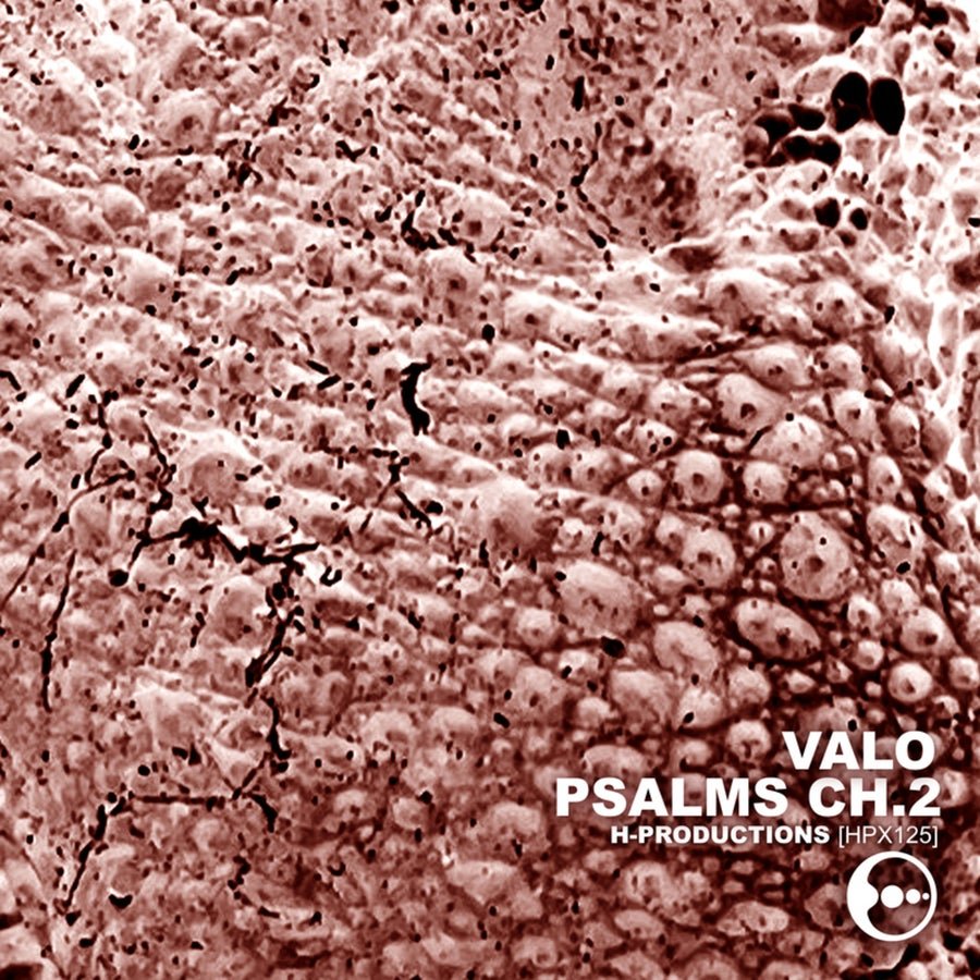 Release Cover: Psalms Ch.2 Download Free on Electrobuzz