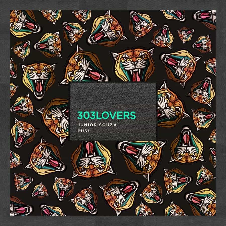 image cover: Junior Souza - Push on 303Lovers