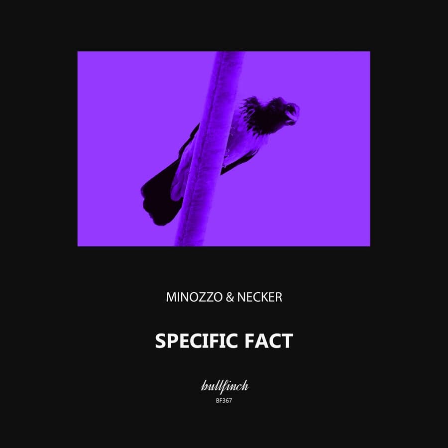 Release Cover: Specific Fact Download Free on Electrobuzz