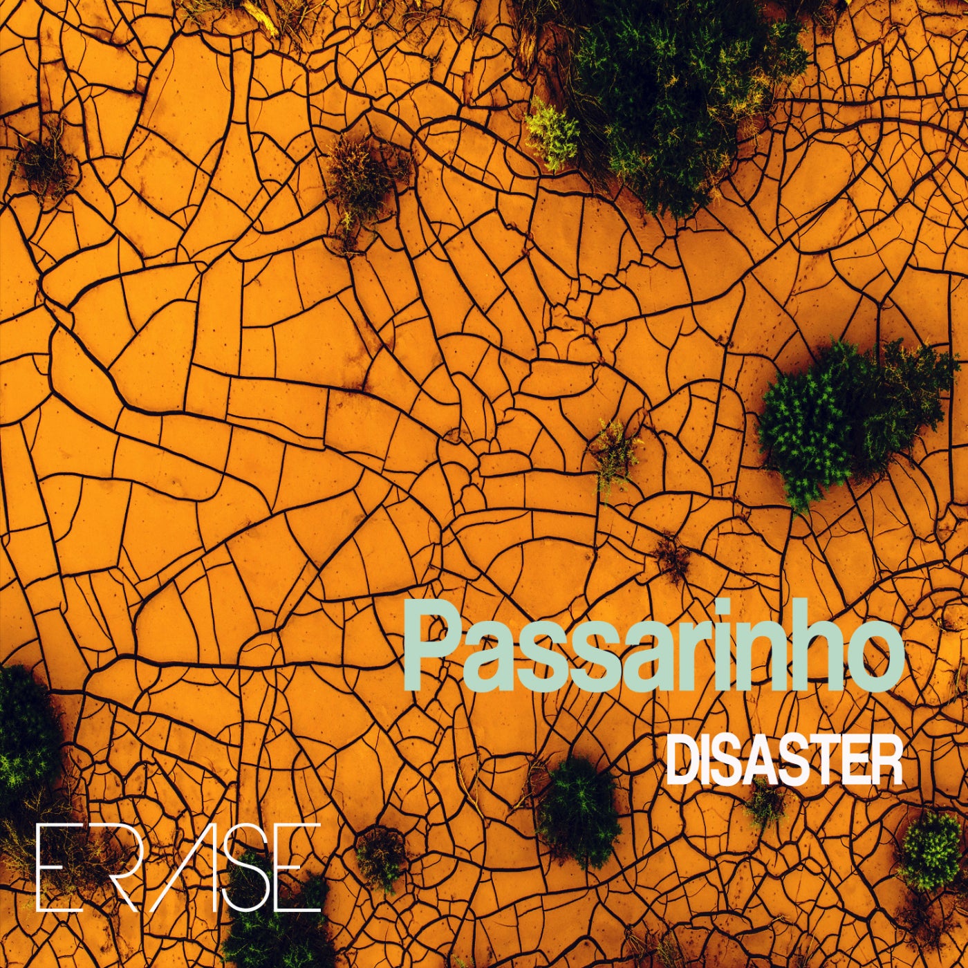 image cover: Disaster (BR) - Passarihno on Erase Records