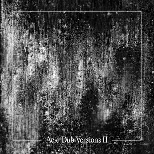 image cover: Acid Dub Versions II by Om Unit on Om Unit Self Released
