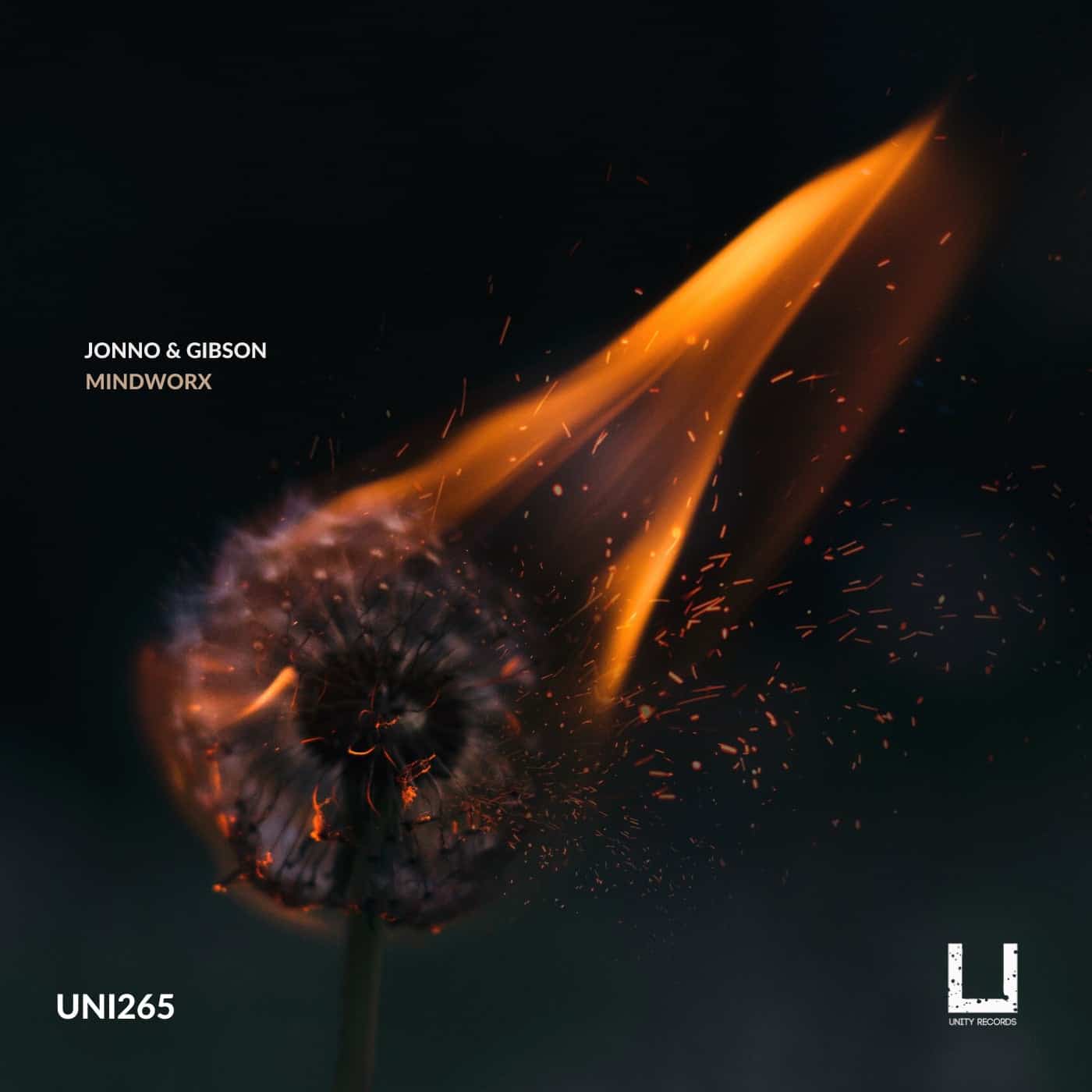 image cover: Jonno & Gibson - Mind worx on Unity Records