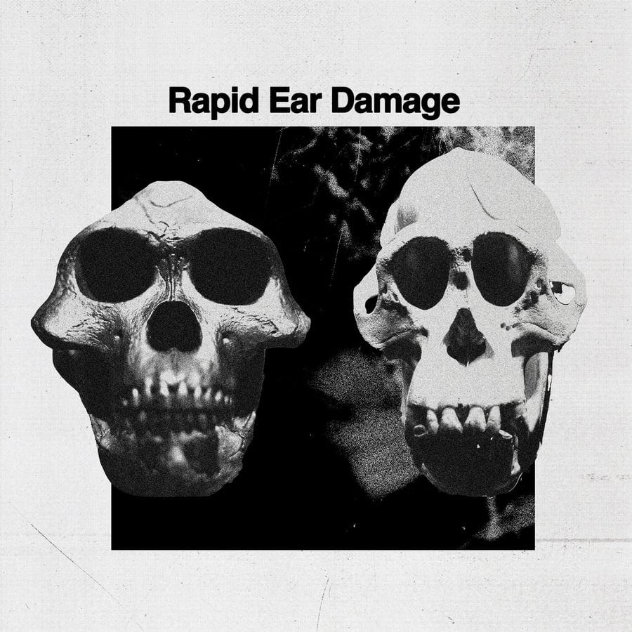 image cover: Rapid Ear Damage - R.E.D on Höga Nord Rekords
