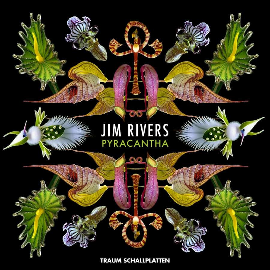 image cover: Jim Rivers - Pyracantha EP on TRAUM Schallplatten