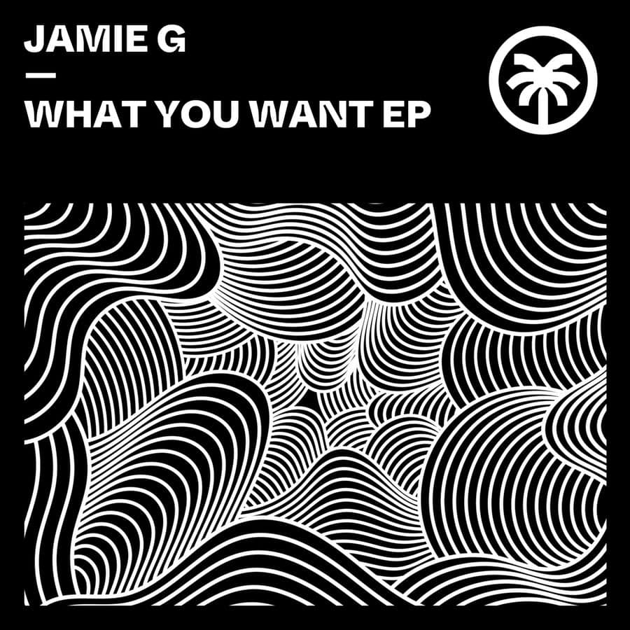 Release Cover: What You Want EP Download Free on Electrobuzz