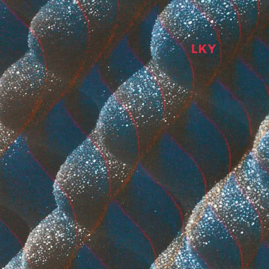 image cover: LKY - Symmetry Zone on Figure