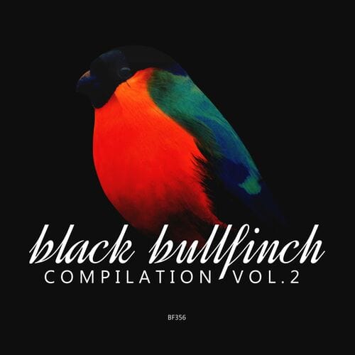 image cover: Farnawany - Black Bullfinch Compilation, Vol. 2 on Bullfinch