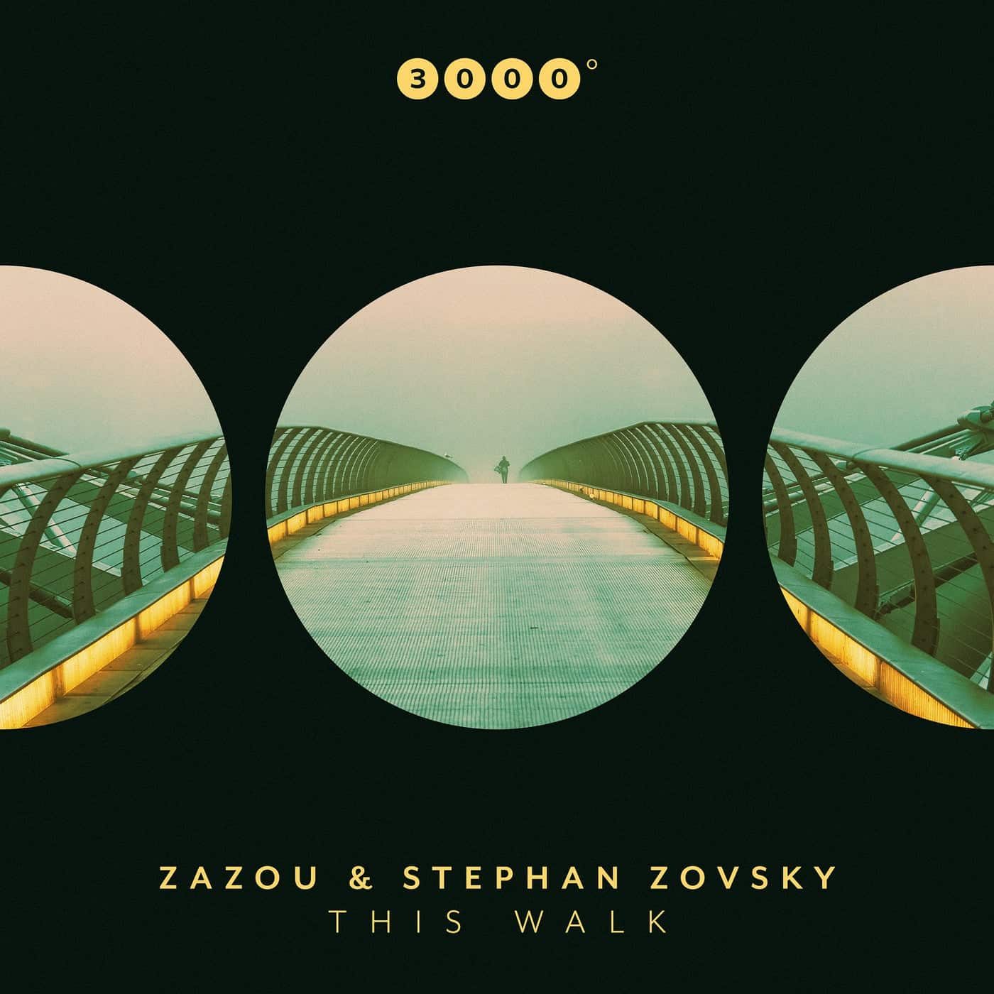 image cover: Zazou, Stephan Zovsky - This Walk on 3000 Grad Records