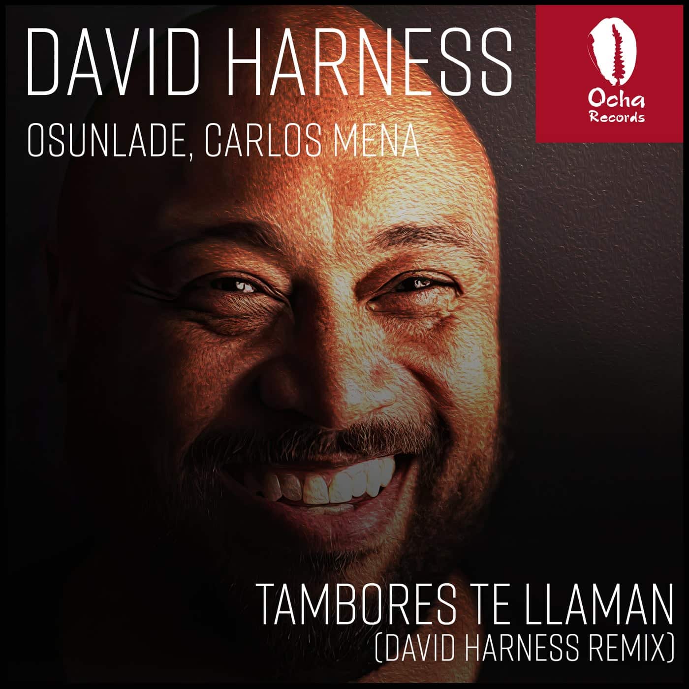 image cover: David Harness, Osunlade, Carlos Mena - Tambores Te Llaman (David Harness Remix) on Ocha Mzansi