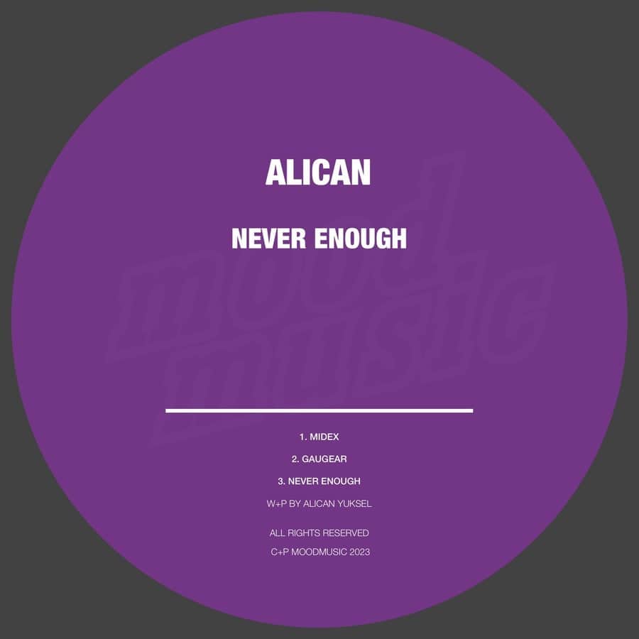 image cover: Alican - Never Enough on Moodmusic