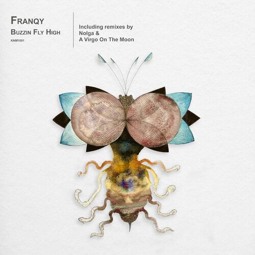 image cover: Franqy - Buzzin Fly High on KINA Music