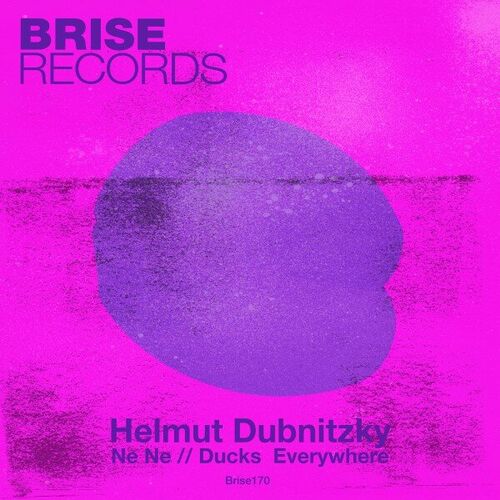 image cover: helmut dubnitzky - Ne Ne / Ducks Everywhere on Brise Records