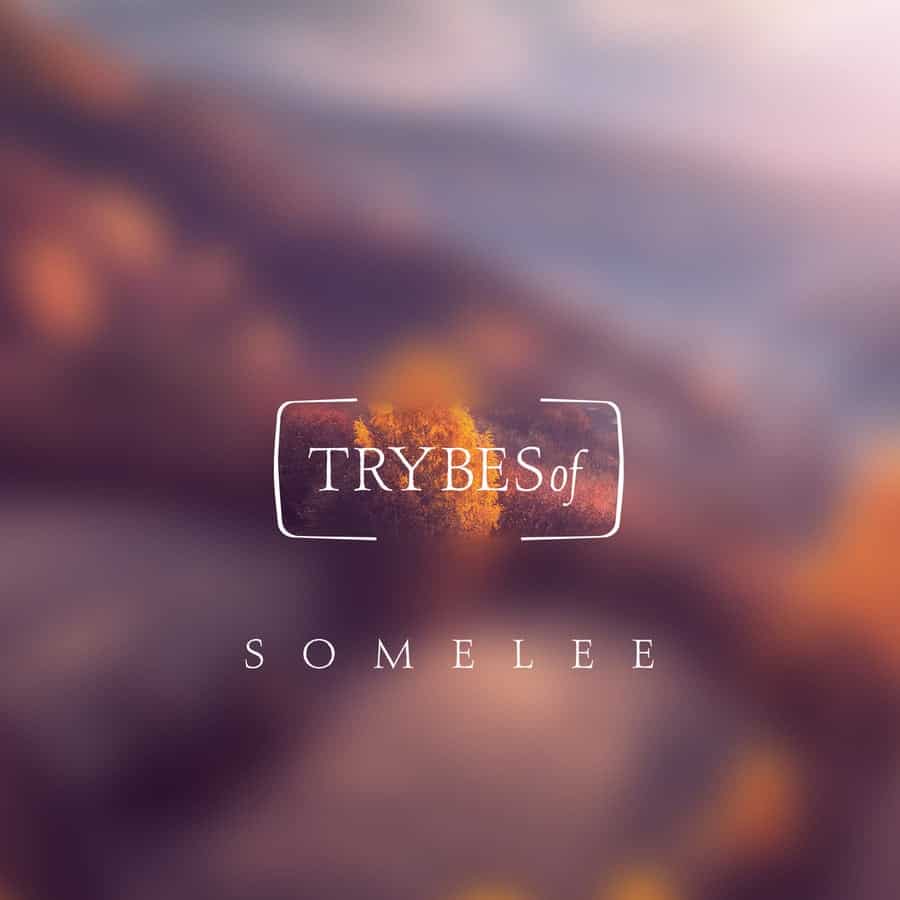 image cover: Somelee - Charisma on TRYBESof