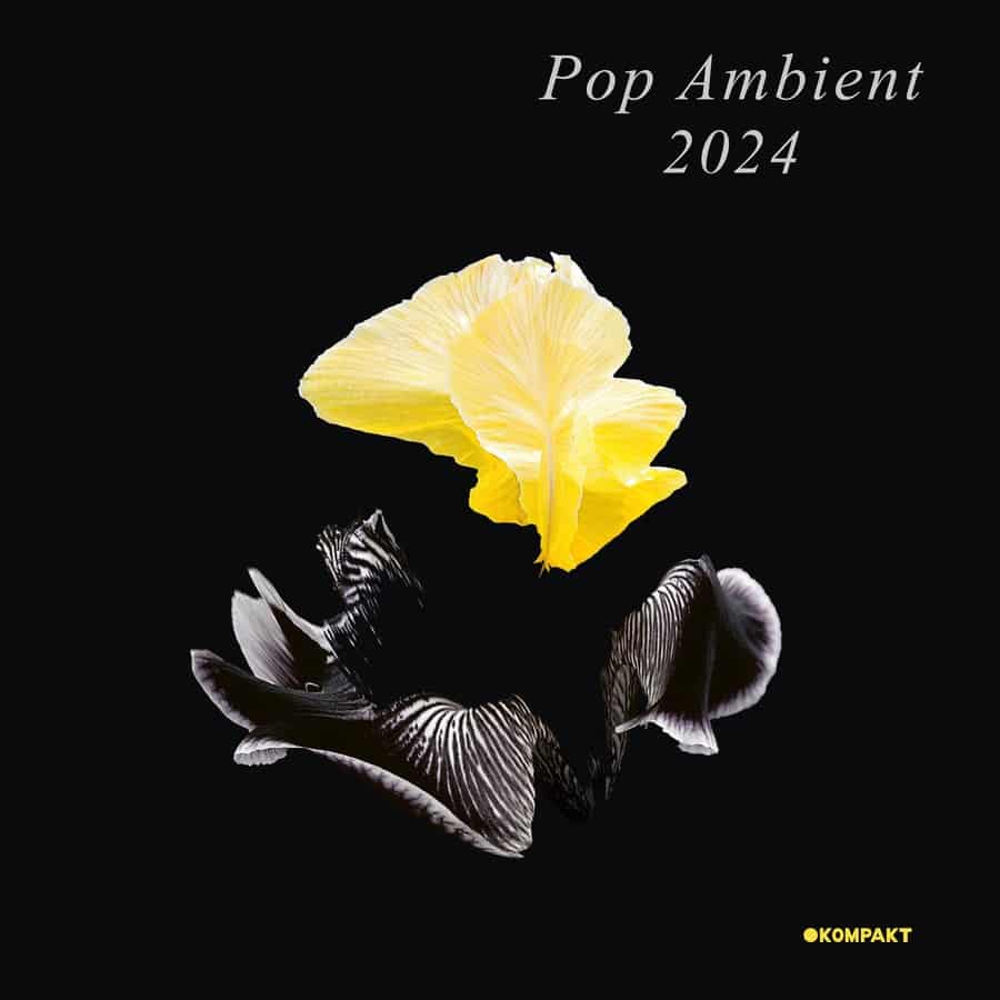 image cover: Various Artists - Pop Ambient 2024 on Kompakt