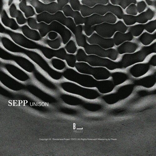 image cover: Sepp - Unison on Borderless Project