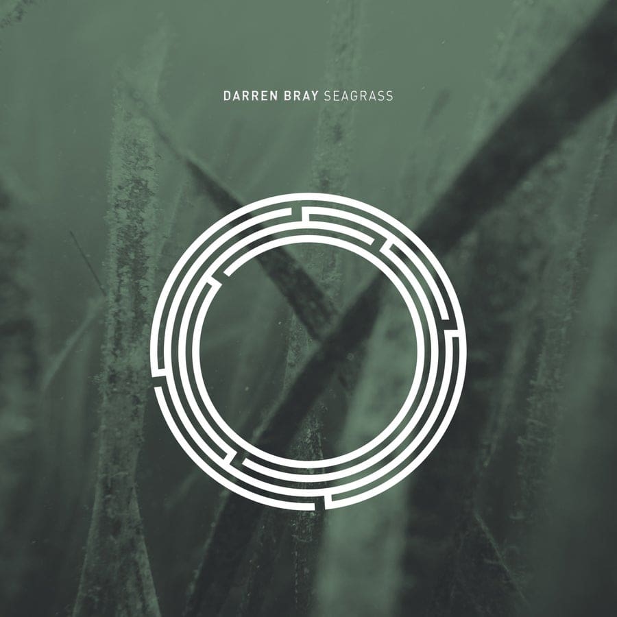 image cover: Darren Bray - Seagrass on RYNTH