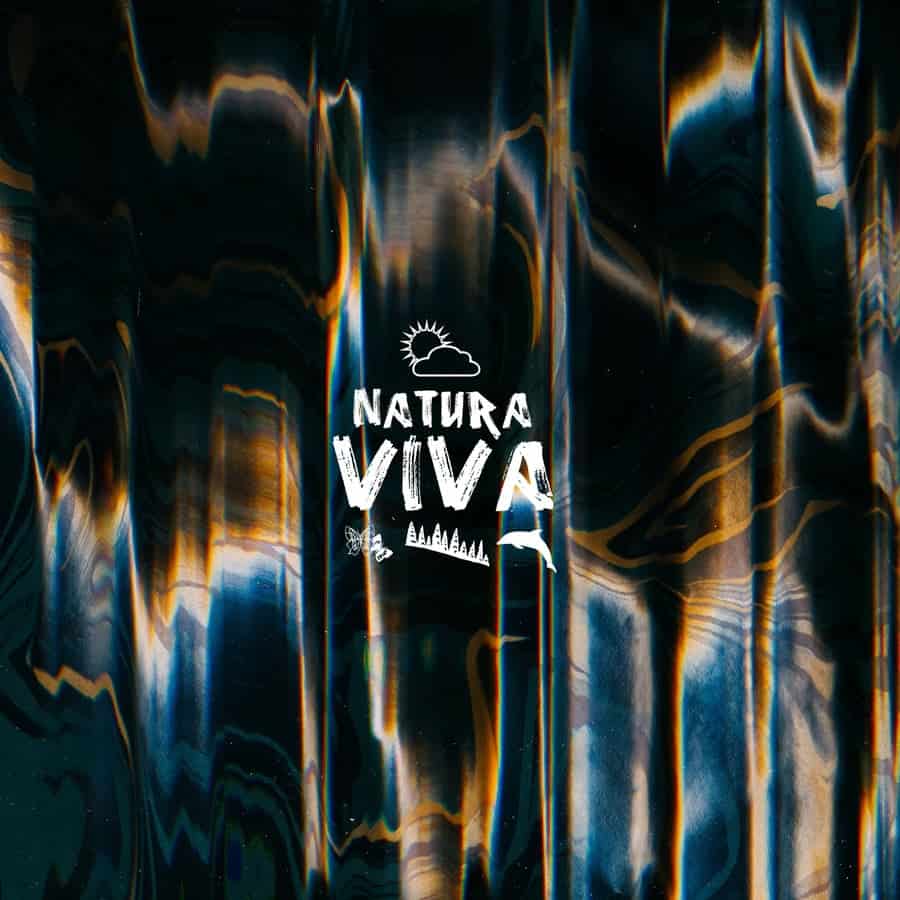 image cover: Nadine Fehn - Evolution Ep on Natura Viva