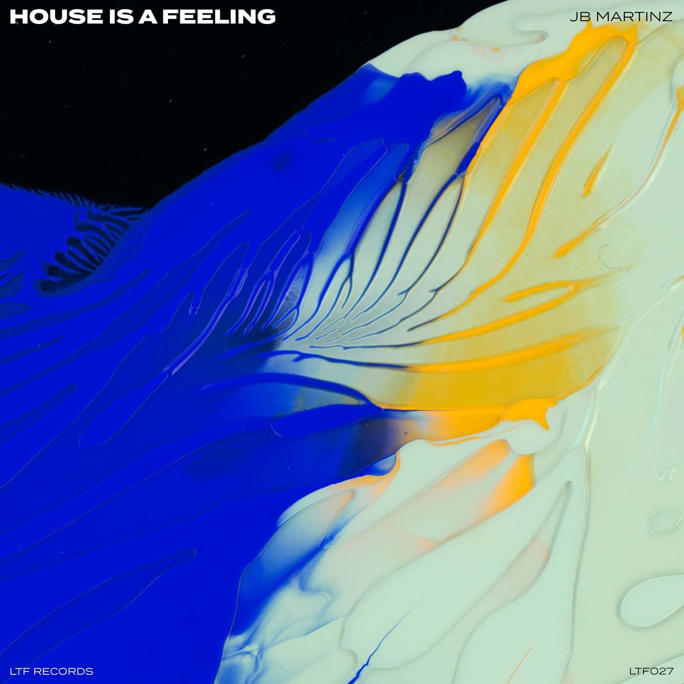 image cover: JB Martinz - House Is A Feeling on LTF Records