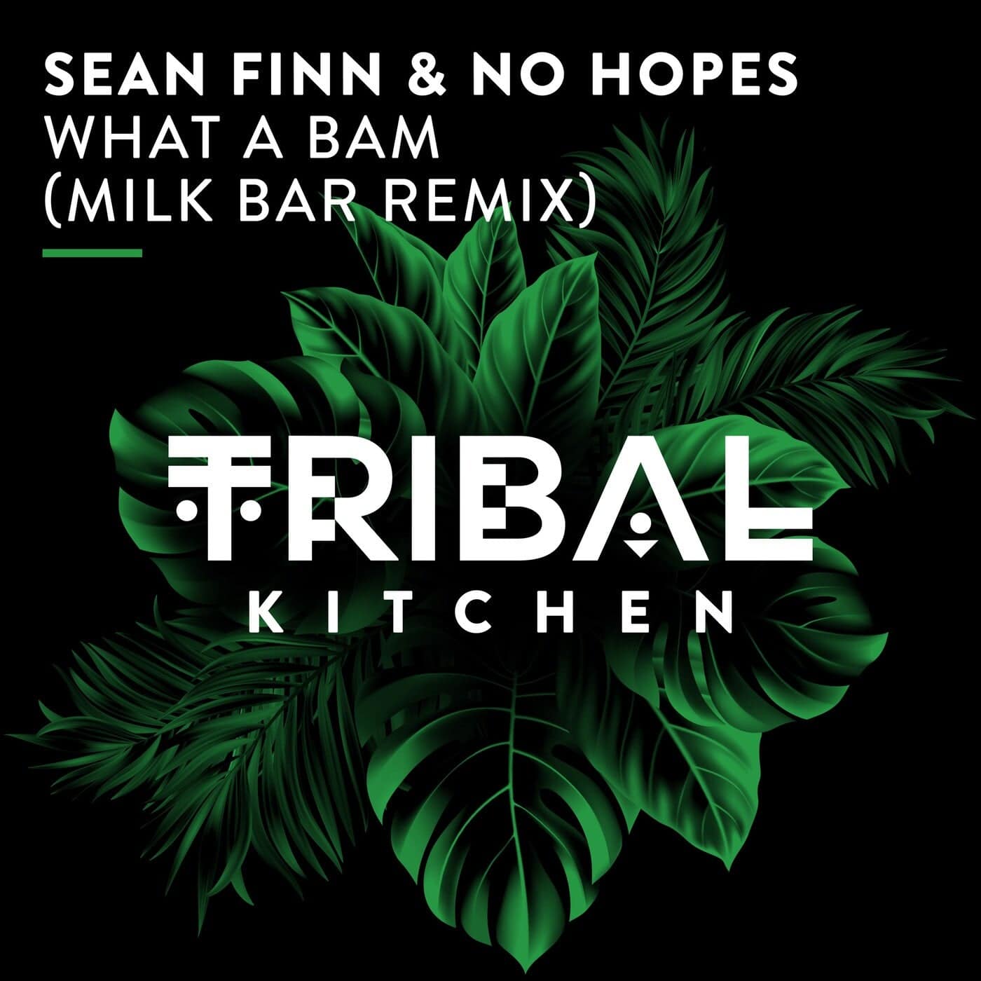 image cover: Sean Finn, No Hopes - What a Bam (Milk Bar Remix) on Tribal Kitchen