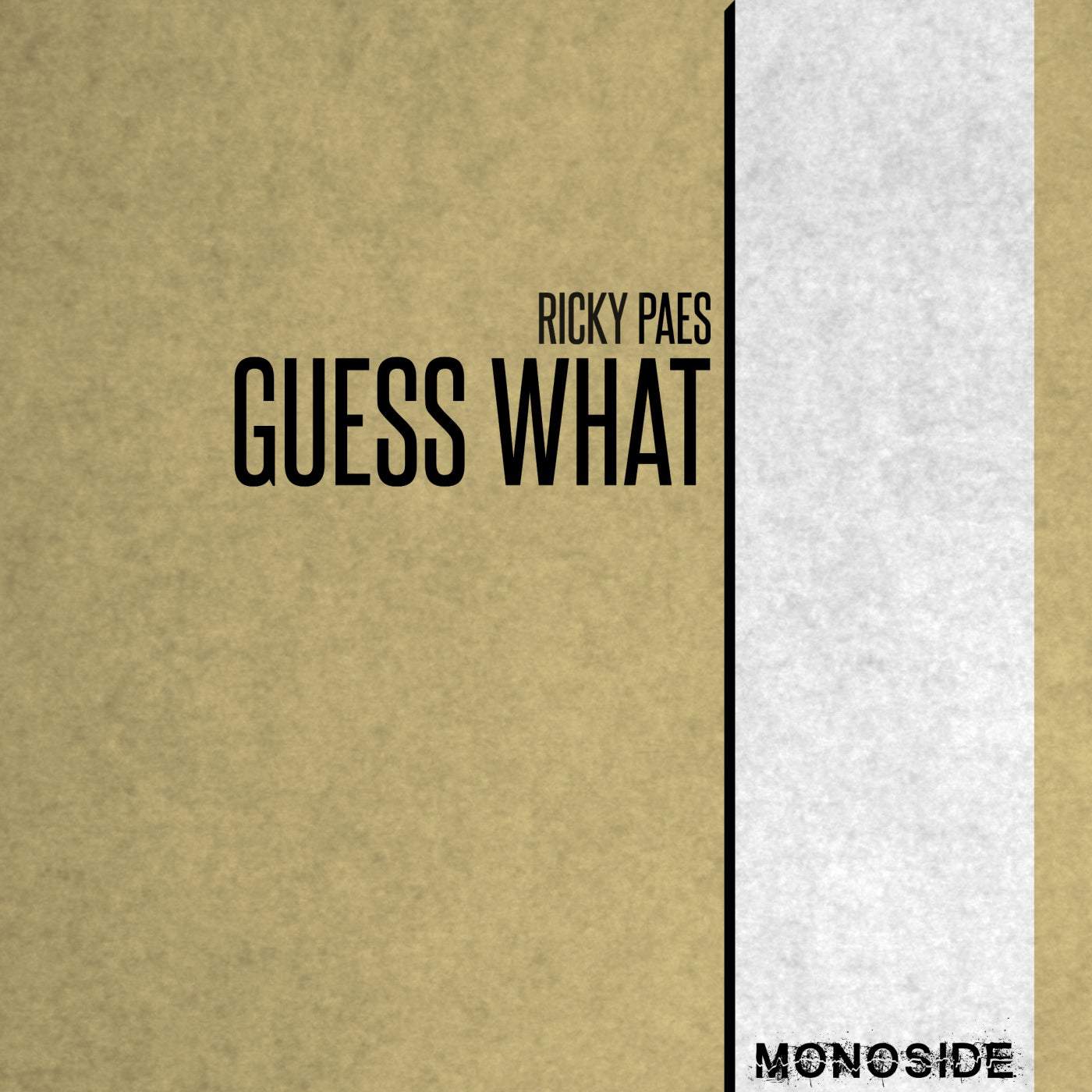 image cover: Ricky Paes - Guess What on MONOSIDE