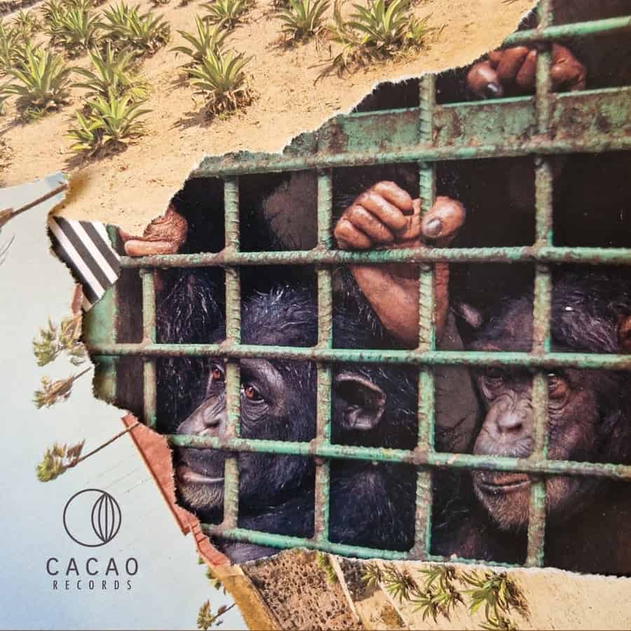 image cover: VA - KEENE pres Best Of Cacao 2023 on Cacao Records
